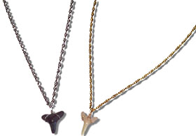 [Shark Fossil Necklaces]