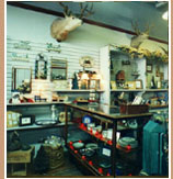[Interior]