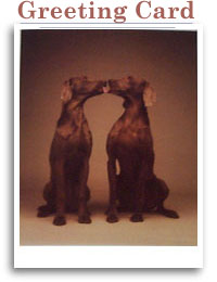 Kissing Dogs Blank Greeting Card